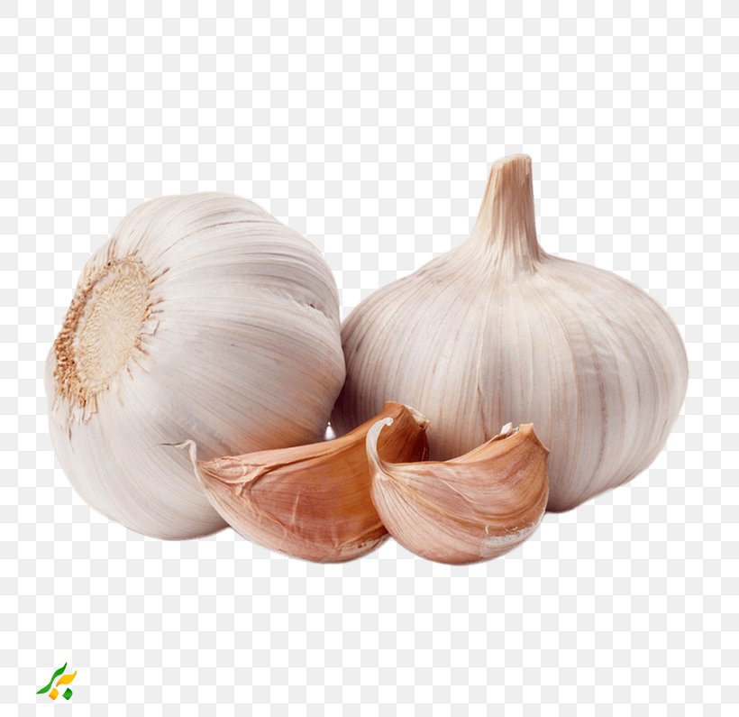 Garlic Shallot Vegetable Spice Food, PNG, 795x795px, Garlic, Dish, Elephant Garlic, Food, Garlic Salt Download Free