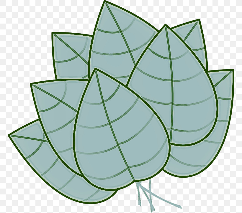 Ivy, PNG, 768x723px, Leaf, Anthurium, Flower, Ivy, Plant Download Free
