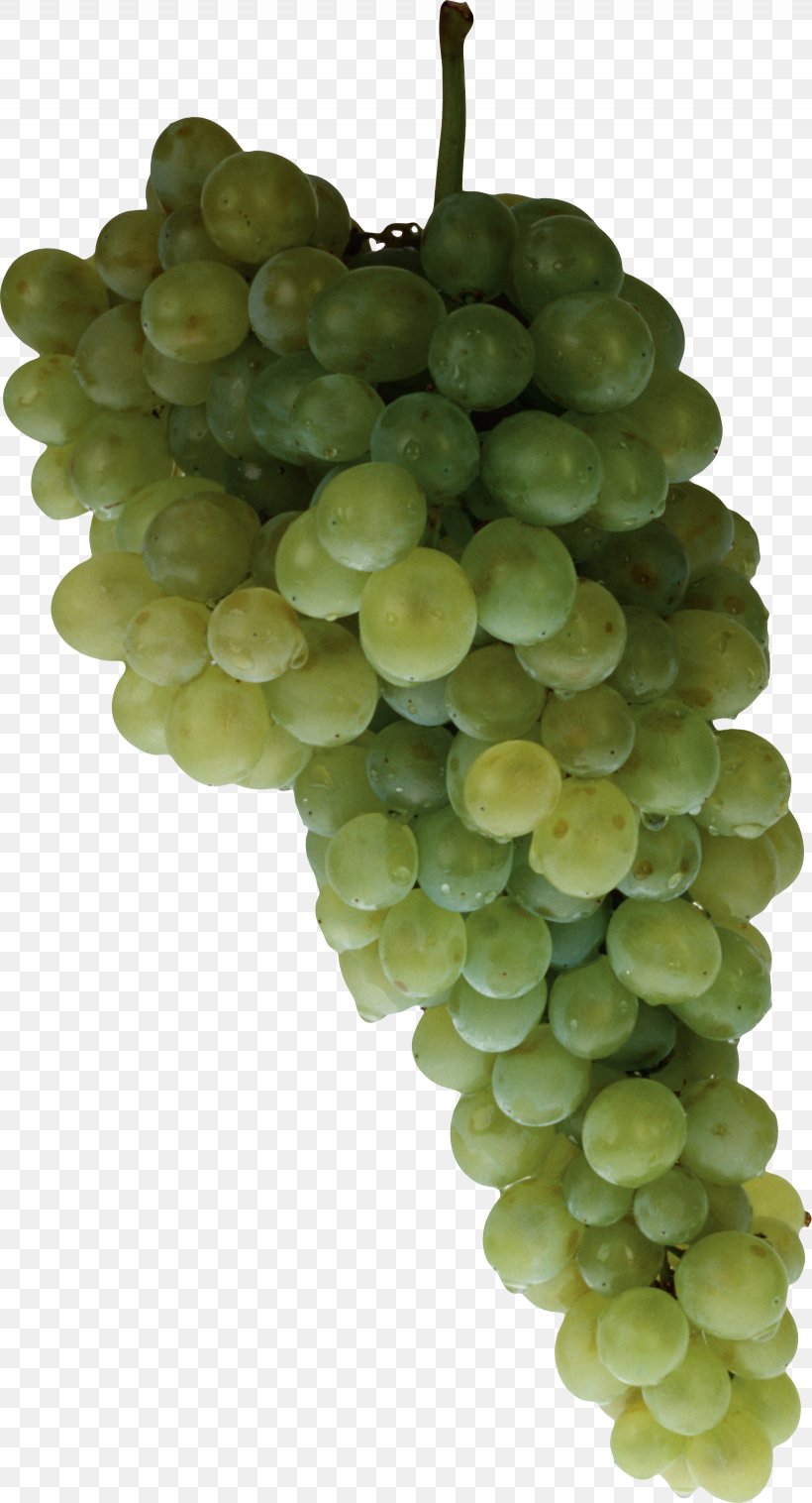 Sultana Juice Grape Seedless Fruit, PNG, 1640x3033px, Juice, Auglis, Food, Fruit, Grape Download Free