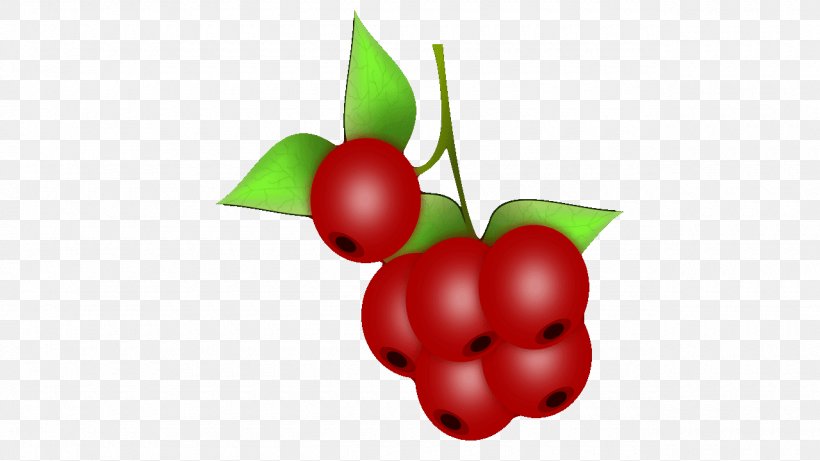 Barbados Cherry Food Cherry Blossom Clip Art, PNG, 1280x720px, Barbados Cherry, Accessory Fruit, Acerola, Acerola Family, Apple Download Free