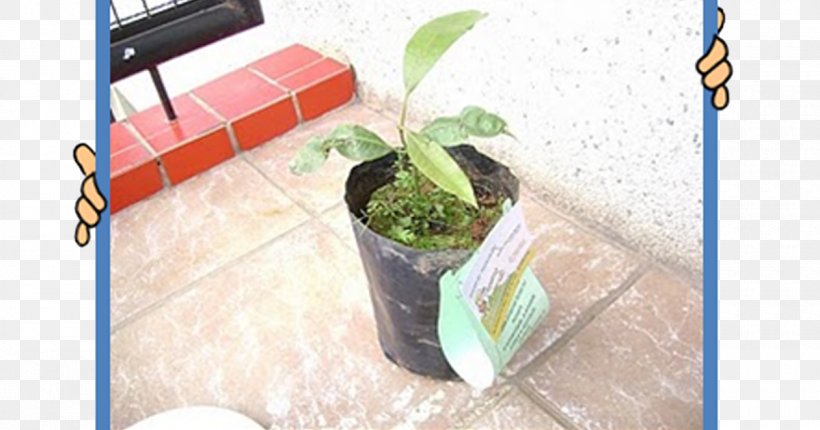 Flowerpot Plastic Leaf Houseplant, PNG, 1200x630px, Flowerpot, Flooring, Grass, Houseplant, Leaf Download Free