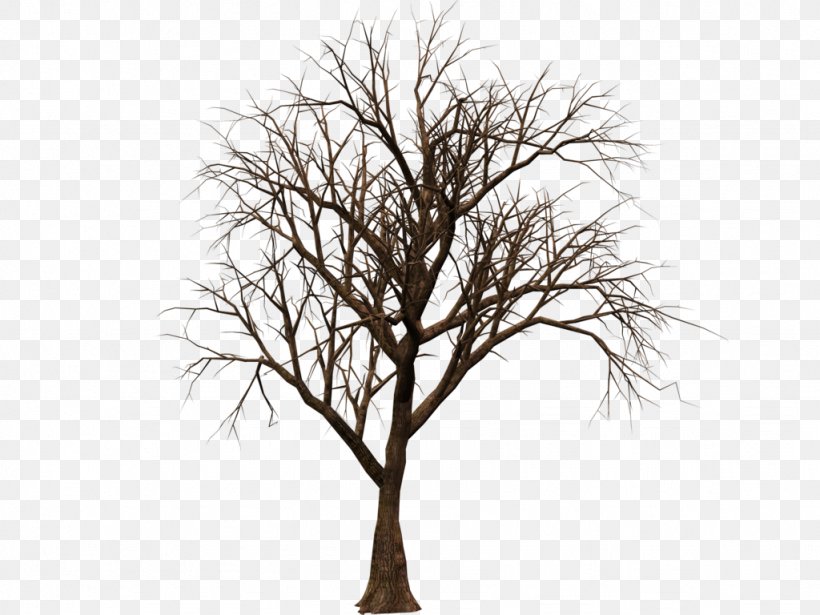 Tree Computer Software Clip Art, PNG, 1024x768px, Tree, Black And White, Branch, Computer Software, Dry Tree Download Free