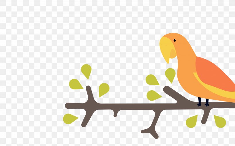 Bird Parrot Illustration, PNG, 3860x2396px, Bird, Animal, Area, Beak, Branch Download Free