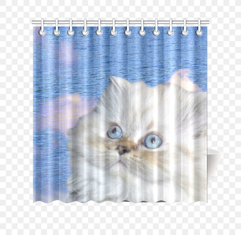 Cat Kitten Textile Curtain Douchegordijn, PNG, 800x800px, Cat, Animal, Blue, Cat Like Mammal, Curtain Download Free