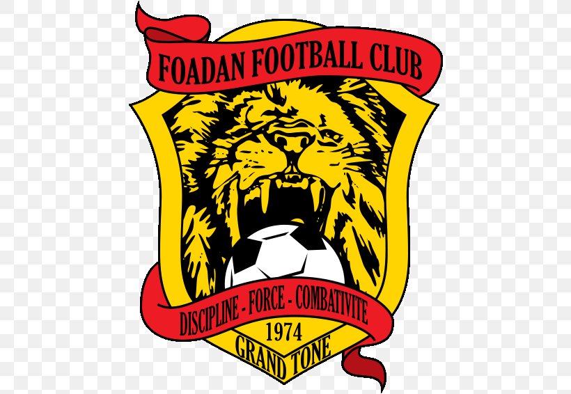 Foadan FC Lomé Togolese Championnat National Dynamic Togolais Anges FC, PNG, 566x566px, Togolese Championnat National, Area, Artwork, Brand, Carnivoran Download Free