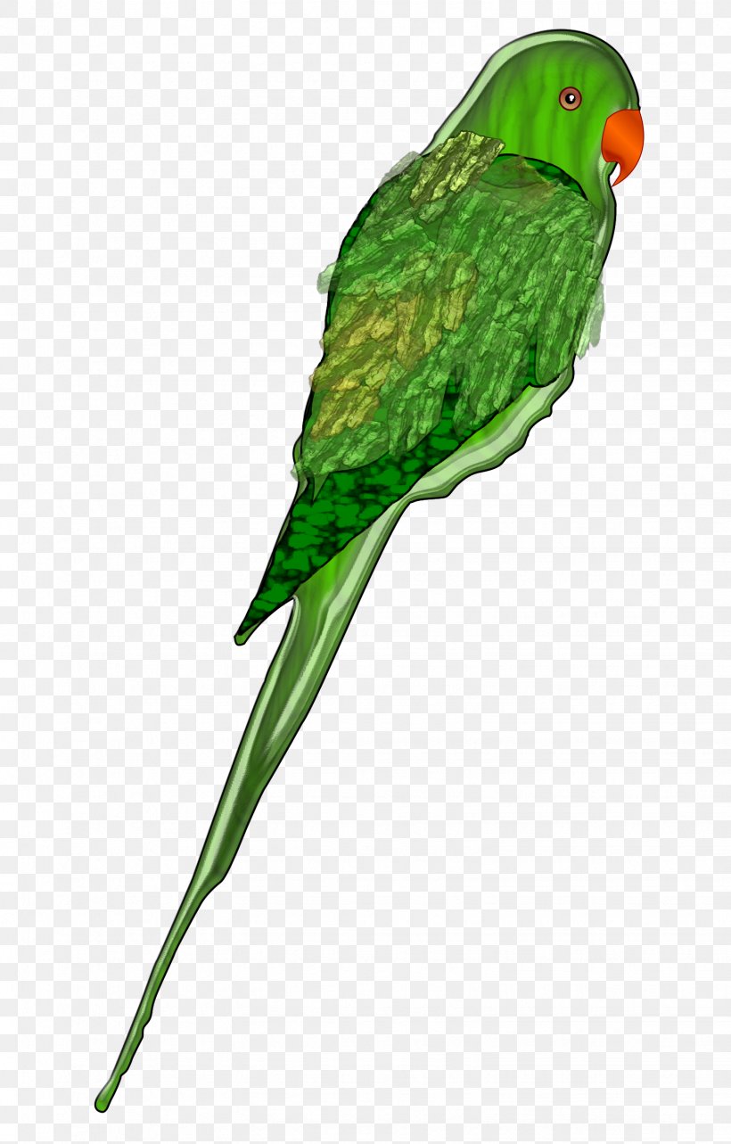 Parrot Bird Budgerigar Parakeet Clip Art, PNG, 1533x2400px, Parrot, Beak, Bird, Budgerigar, Common Pet Parakeet Download Free