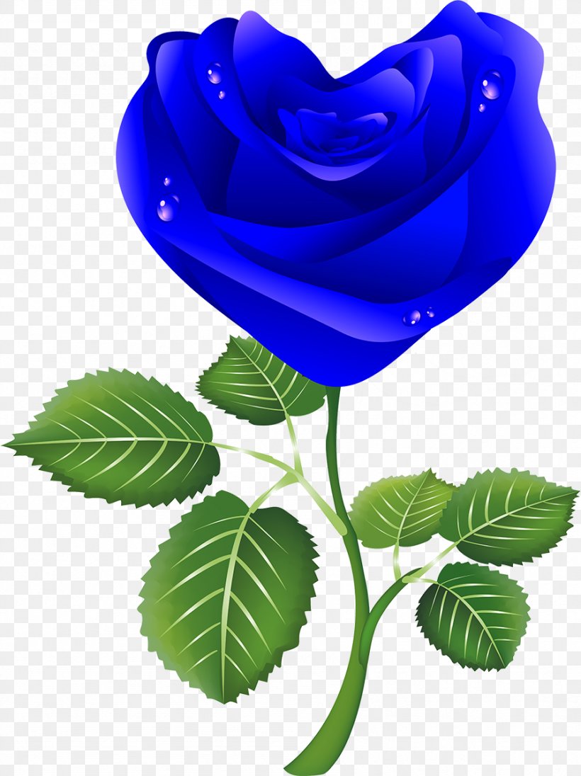 Clip Art, PNG, 897x1200px, Garden Roses, Blue, Blue Rose, Centifolia Roses, Cobalt Blue Download Free