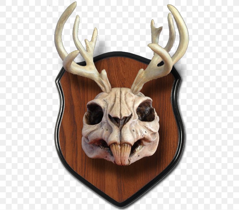 Jackalope Skull Deer Antler Rabbit, PNG, 721x721px, Jackalope, Antler, Art, Bone, Deer Download Free