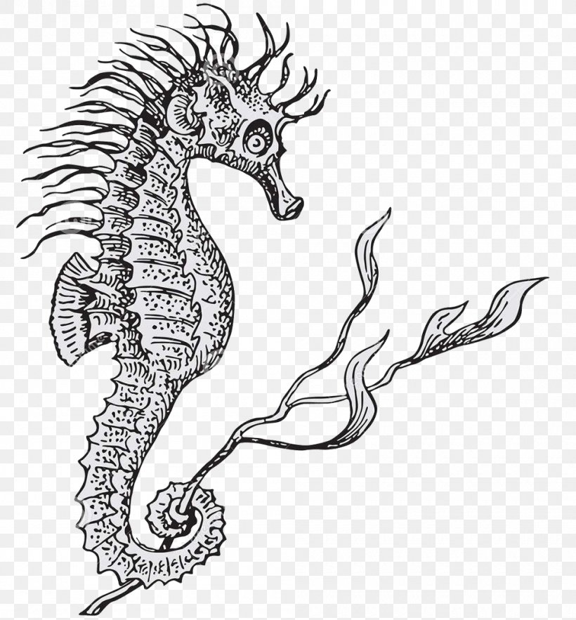 Lined Seahorse Hippocampus Illustration, PNG, 1000x1077px, Lined Seahorse, Art, Black And White, Drawing, Fictional Character Download Free