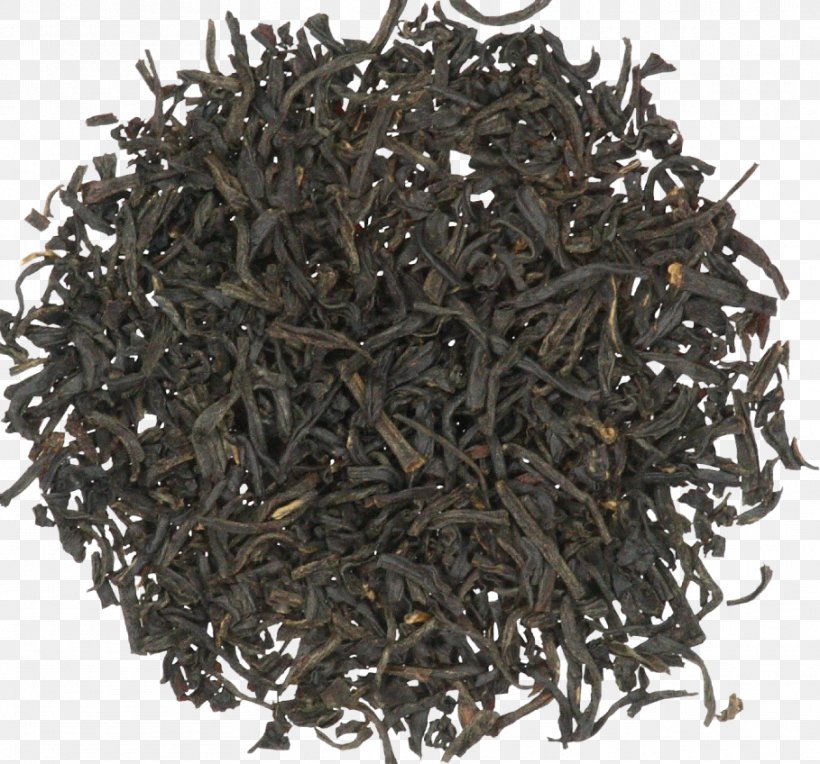 Nilgiri Tea Dianhong Oolong Darjeeling Tea, PNG, 909x848px, Nilgiri Tea, Assam Tea, Bai Mudan, Baihao Yinzhen, Bancha Download Free