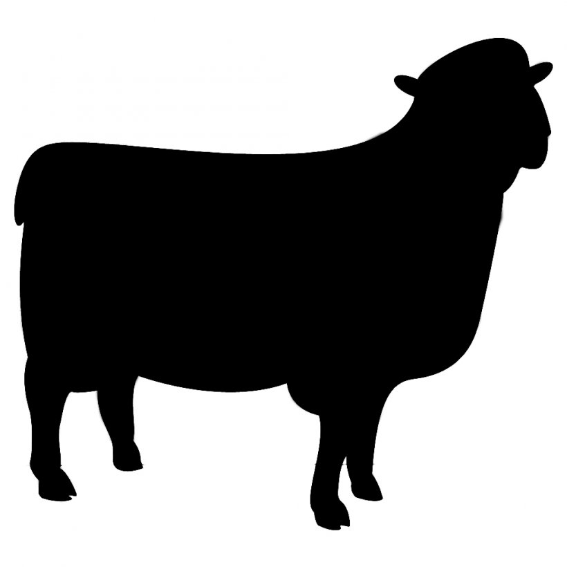 Sheep T-shirt Silhouette Blackboard Shadow, PNG, 1000x1000px, Sheep, Black And White, Blackboard, Bull, Cattle Like Mammal Download Free