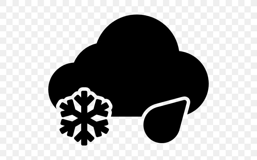 Snowflake Ice Storm Cloud, PNG, 512x512px, Snowflake, Black, Black And White, Cloud, Flower Download Free