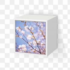 Apple Products - Table Armoires & Wardrobes Door Furniture Bathroom PNG