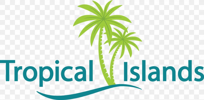 Tropical Islands Resort Iceland Amusement Park Water Park, PNG, 1000x491px, Tropical Islands Resort, Accommodation, Amusement Park, Area, Beach Download Free