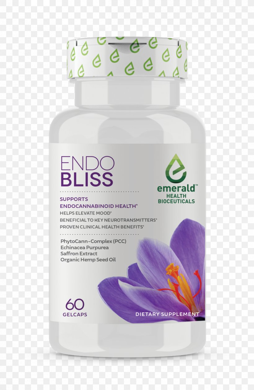 Dietary Supplement Cannabis Endocannabinoid System Hemp Oil Health, PNG, 1200x1841px, Dietary Supplement, Anxiety Disorder, Cannabidiol, Cannabis, Endocannabinoid System Download Free