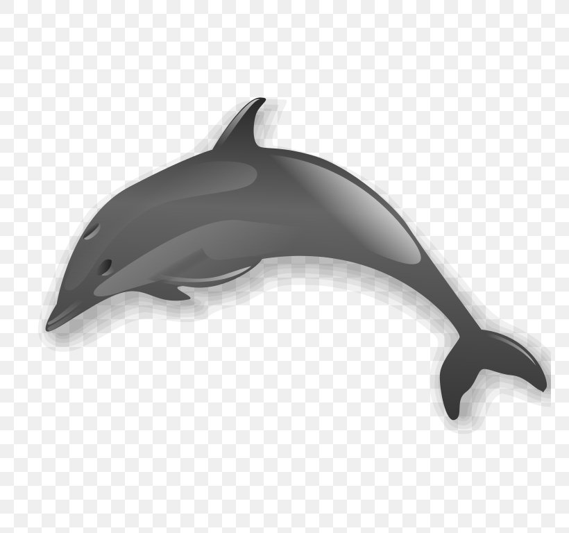 Dolphin Clip Art, PNG, 768x768px, Dolphin, Automotive Design, Black, Bottlenose Dolphin, Common Bottlenose Dolphin Download Free