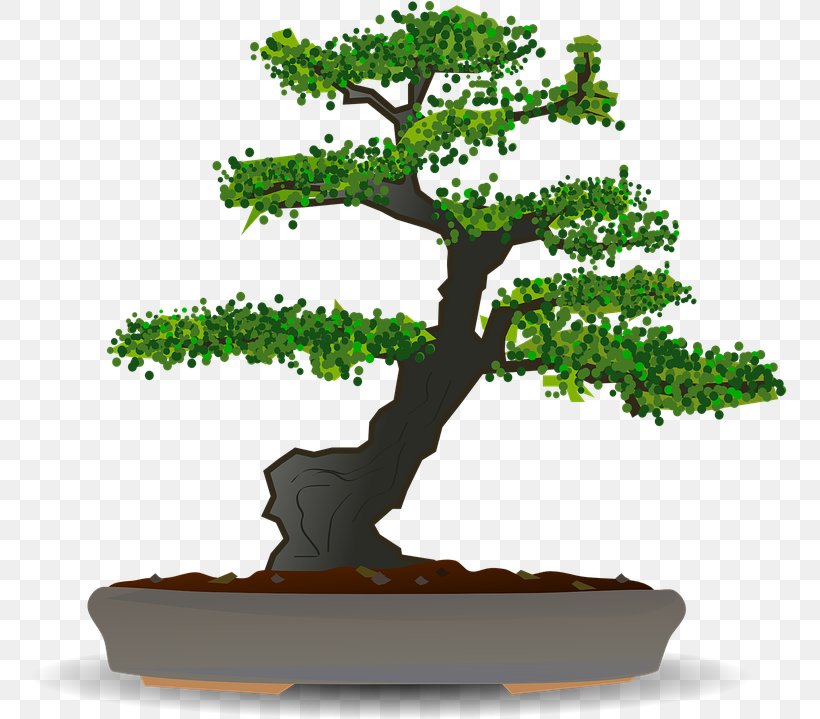 Family Tree Background, PNG, 759x719px, Bonsai, American Larch, Bonsai Cultivation And Care, Bonsai Styles, Branch Download Free