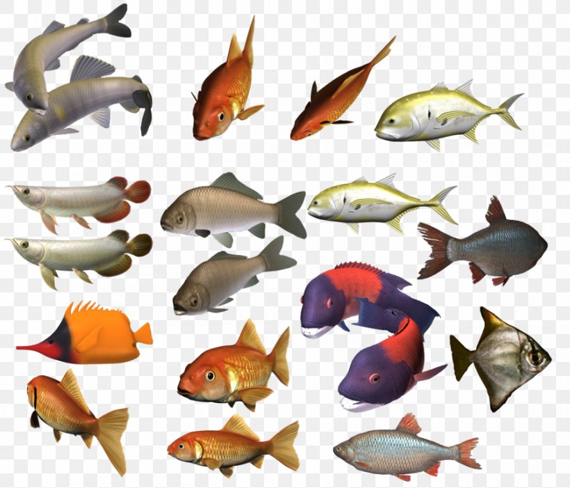 Fish Clip Art, PNG, 900x770px, Fish, Display Resolution, Fauna, Image File Formats, Marine Biology Download Free