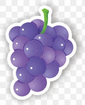 Grape - Grapevines Purple PNG