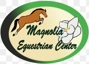 Mustang - Mustang Magnolia Equestrian Center LLC Pony Horse Show Clip Art PNG