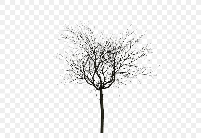 Tree Oak Clip Art, PNG, 631x561px, Tree, Black And White, Branch, Icon Design, Monochrome Download Free