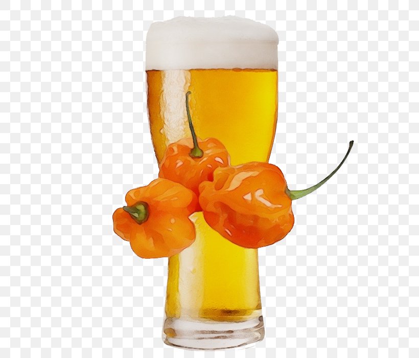 Beer Glass Drink Plant Bell Peppers And Chili Peppers Food, PNG, 700x700px, Watercolor, Beer Glass, Bell Peppers And Chili Peppers, Drink, Drinkware Download Free