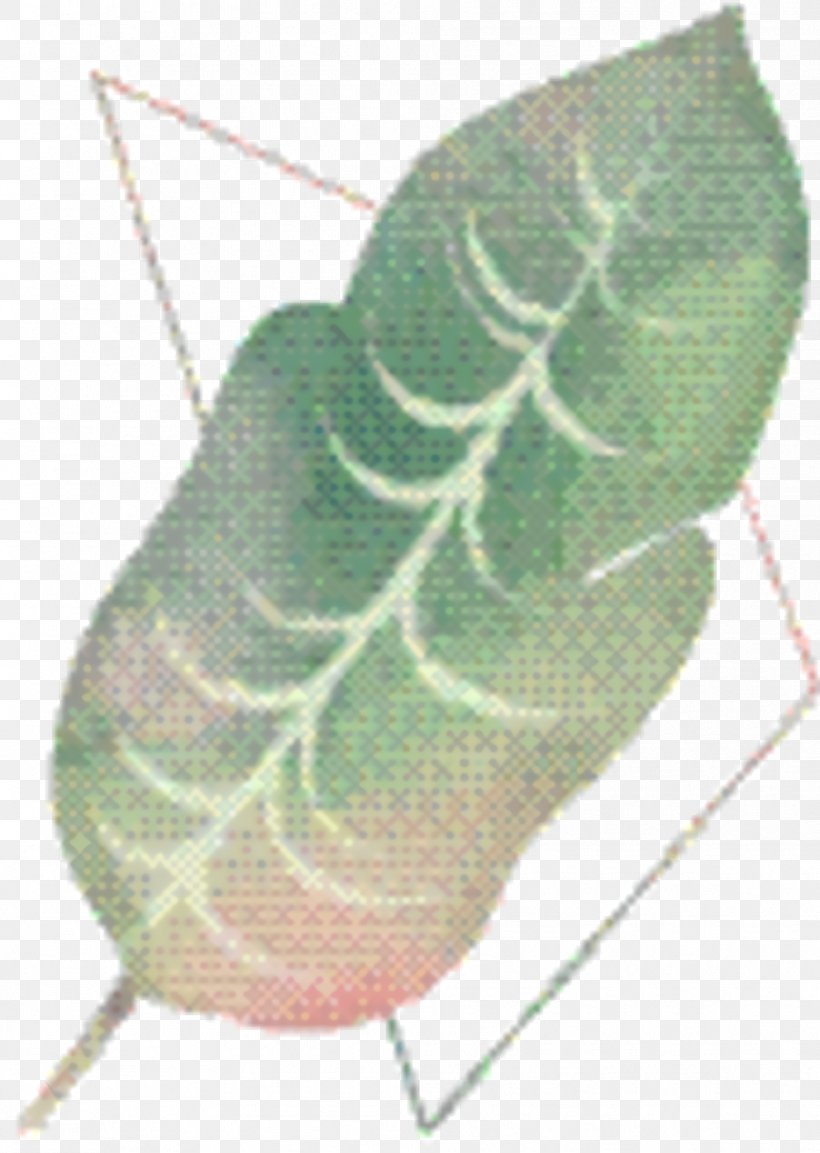 Cartoon Flower, PNG, 992x1396px, Leaf, Anthurium, Flower, Insect, Plant Download Free