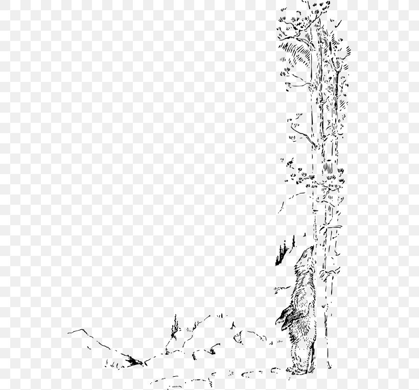 Drawing Clip Art, PNG, 555x762px, Drawing, Area, Black, Black And White, Branch Download Free