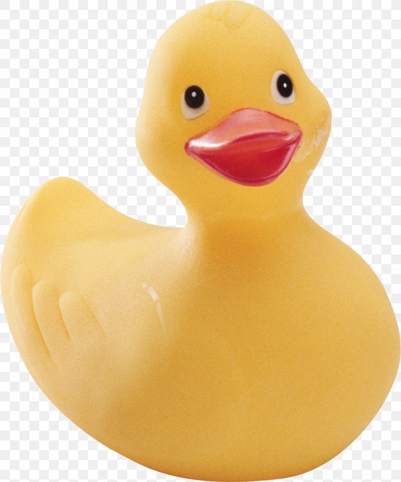 Ernie Rubber Duck Hoots The Owl Natural Rubber, PNG, 1277x1534px, Ernie, Bathing, Bathtub, Beak, Bird Download Free