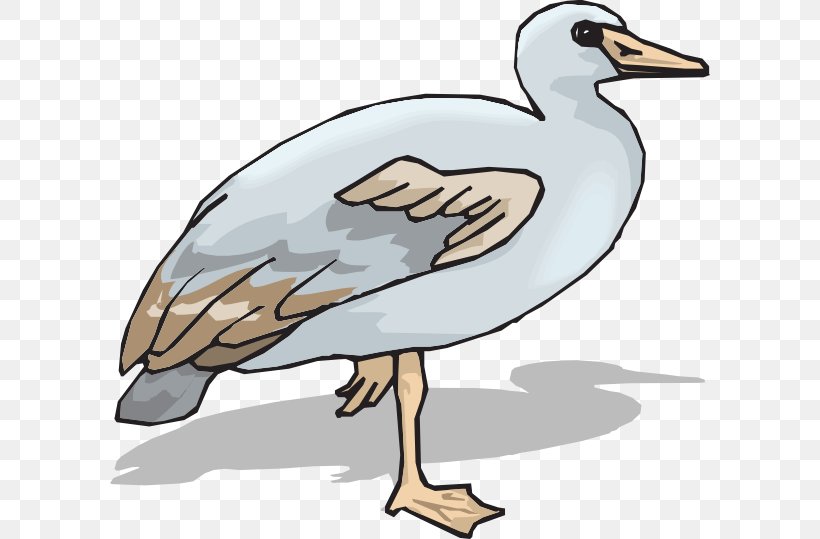 Goose Duck Ganso Clip Art, PNG, 600x539px, Goose, Anatidae, Animation, Artwork, Beak Download Free