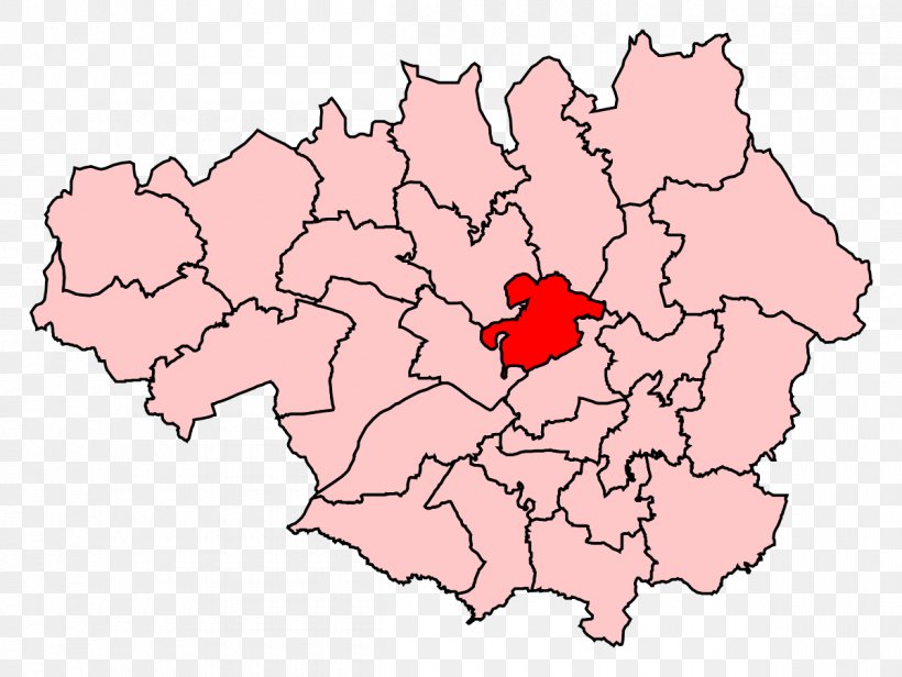 Manchester Withington Manchester Wythenshawe Manchester Central Wythenshawe And Sale East, PNG, 1200x902px, Withington, Area, Electoral District, Flower, Flowering Plant Download Free