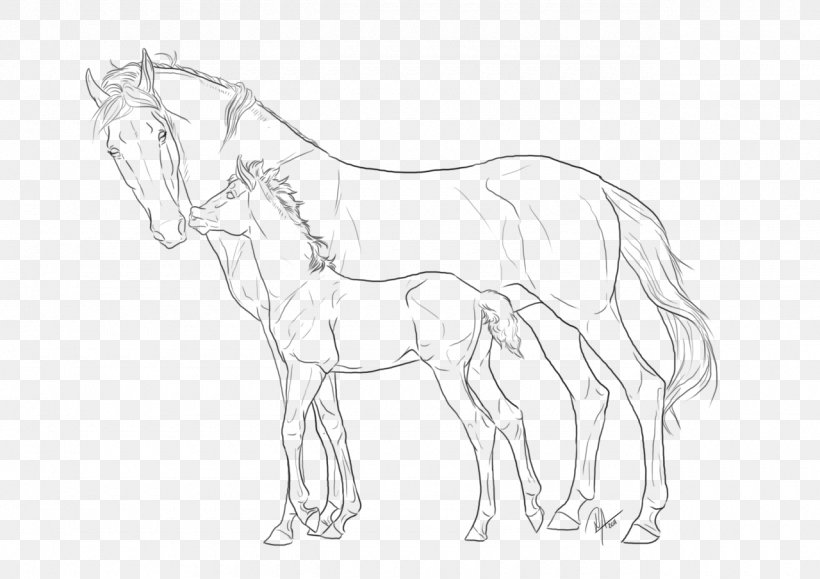 Mule Foal Mare Pintabian Colt, PNG, 1280x905px, Mule, Animal Figure, Arm, Artwork, Black And White Download Free