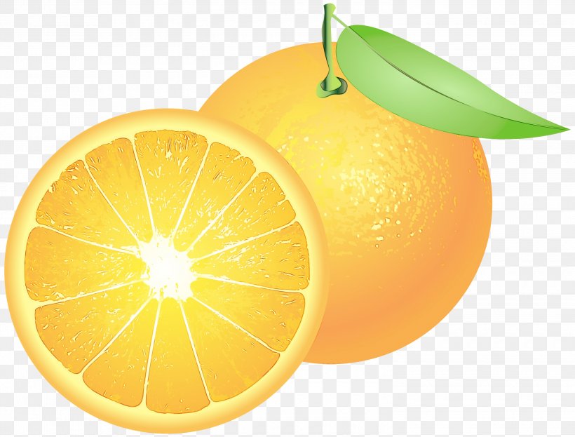 Orange, PNG, 3000x2282px, Watercolor, Citrus, Fruit, Lemon, Lemonlime Download Free
