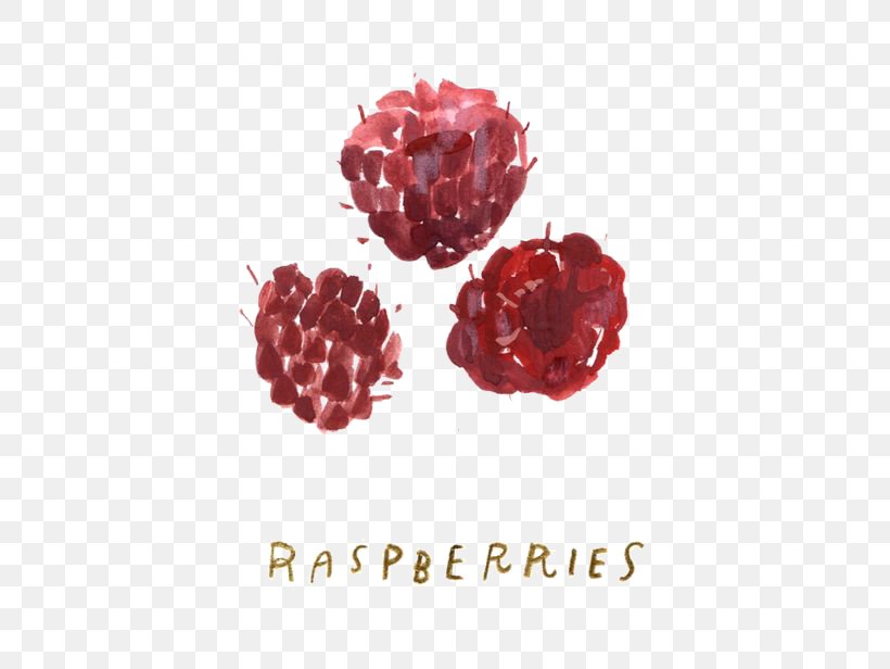 Raspberry Cartoon Illustration, PNG, 564x616px, Raspberry, Art, Auglis, Berry, Cartoon Download Free