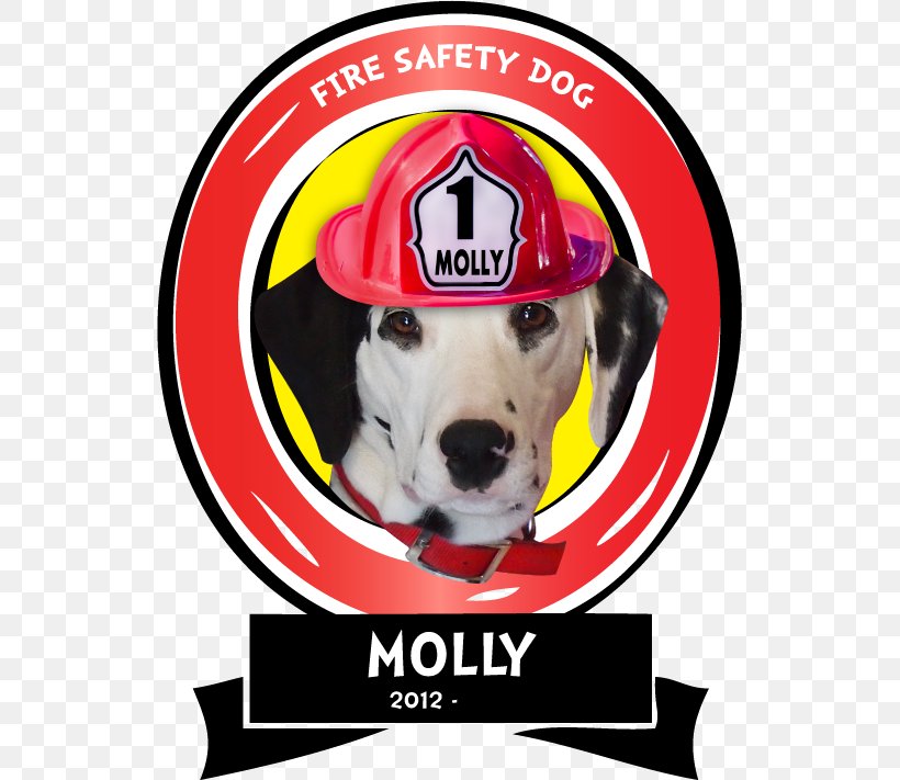 Dalmatian Dog Fire Safety Dog Breed Fire Prevention, PNG, 533x711px, Dalmatian Dog, Brand, Breed, Carnivoran, Coloring Book Download Free