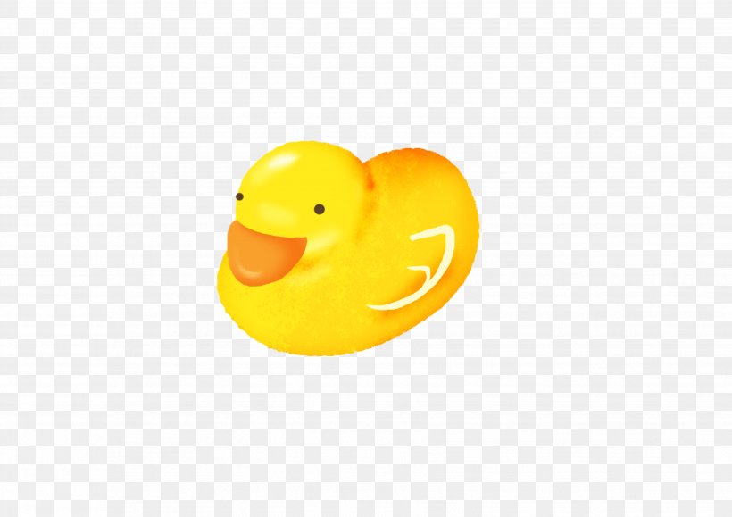Duck Beak Bird Cygnini Goose, PNG, 3508x2480px, Duck, Anatidae, Beak, Bird, Cygnini Download Free