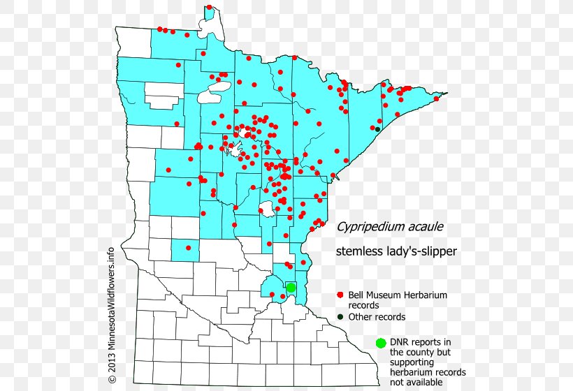 Minnesota Line Point Angle Land Lot, PNG, 522x560px, Minnesota, Area, Diagram, Land Lot, Map Download Free