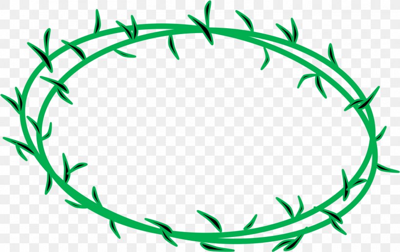 Clip Art Crown Of Thorns Transparency Thorns, Spines, And Prickles, PNG, 1567x991px, Crown Of Thorns, Christianity, Drawing, Green, Jesus Download Free