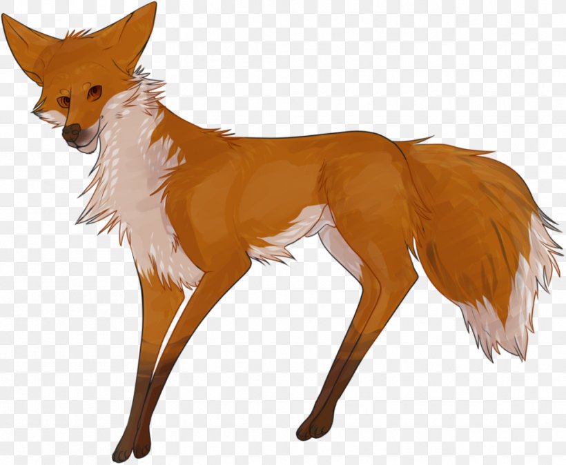 Red Fox Deer Fur Fox News Snout, PNG, 986x811px, Red Fox, Carnivoran, Deer, Dog Like Mammal, Fox Download Free