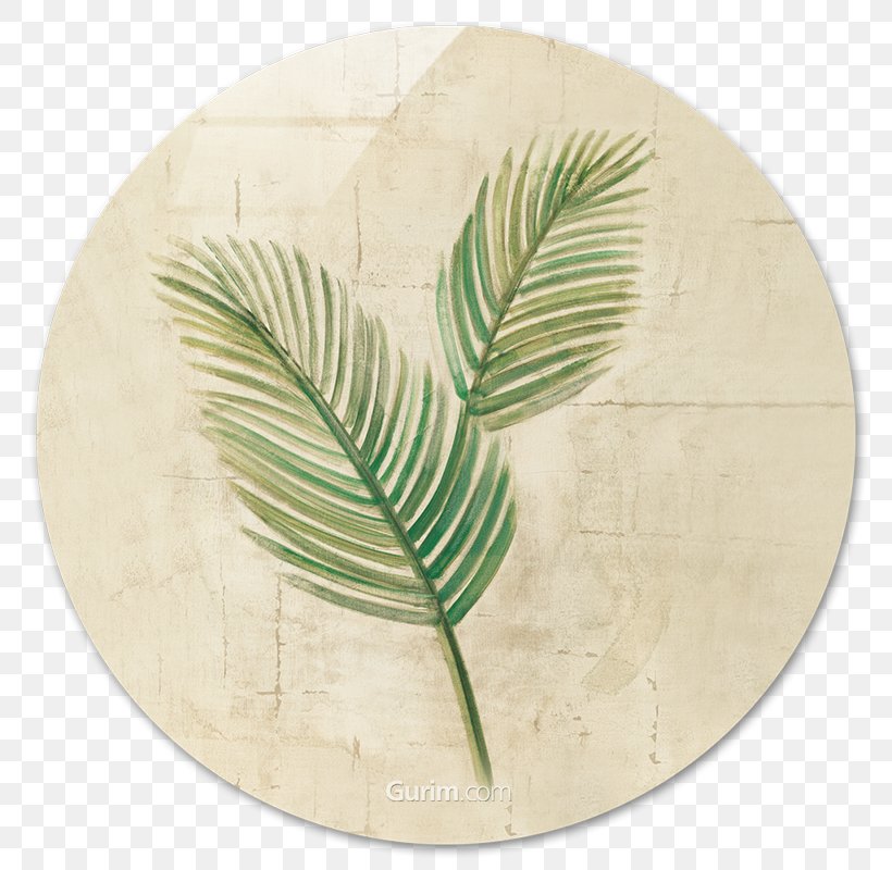 Sago Palm Paper Palm-leaf Manuscript Crop, PNG, 800x800px, Sago Palm, Arecaceae, Canvas, Canvas Print, Centimeter Download Free