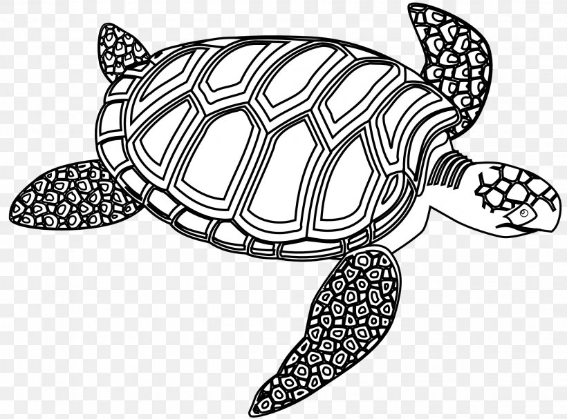Sea Turtle Black And White Drawing Clip Art, PNG, 1979x1466px, Turtle, Art, Black And White, Drawing, Green Sea Turtle Download Free