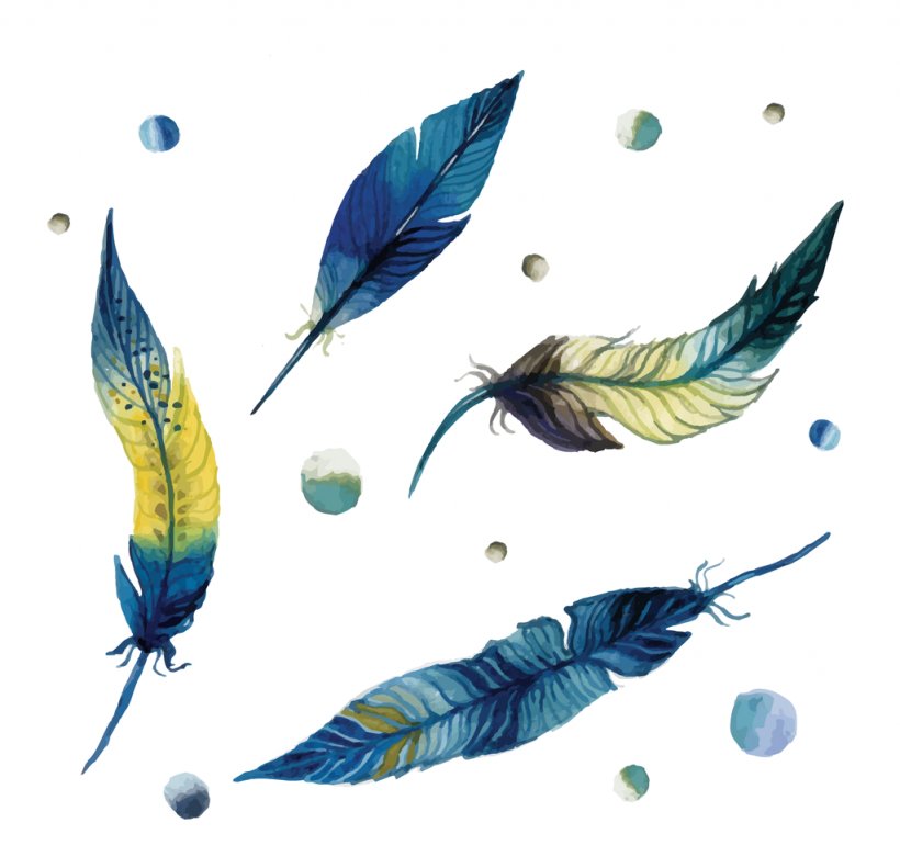 Watercolor Painting Feather Watercolour Flowers Vector Graphics Image, PNG, 1024x989px, Watercolor Painting, Drawing, Dreamcatcher, Fauna, Feather Download Free