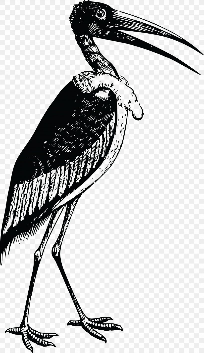 Bird White Stork IPhone 8 IPhone 7 Plus Clip Art, PNG, 4000x6931px, Bird, Beak, Black And White, Ciconiiformes, Crane Like Bird Download Free