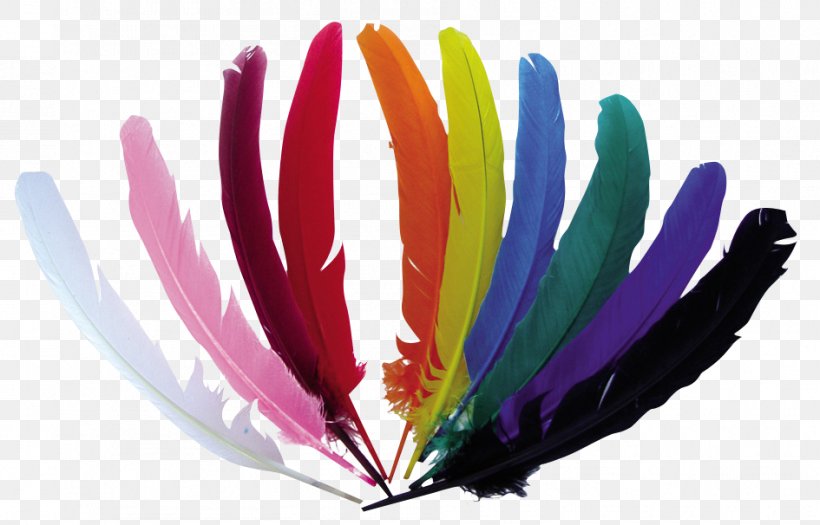 Feather Color Carnival Bedroom Furniture, PNG, 945x606px, Feather, Bedroom, Black, Carnival, Carpet Download Free