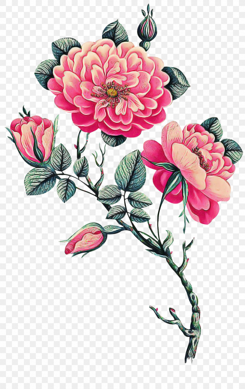 Floral Design, PNG, 1000x1586px, Floral Design, Cabbage Rose, Cut Flowers, Decal Supplier, Decaltransfarcom Download Free