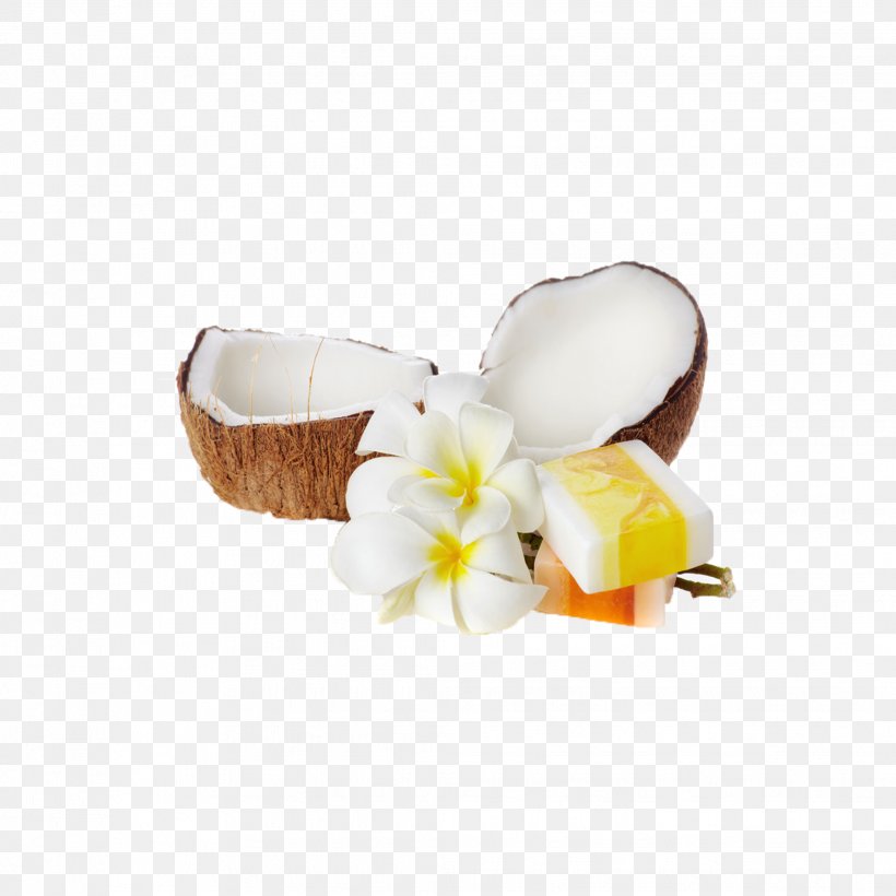 Soap Coconut Oil, PNG, 2067x2067px, Soap, Coconut, Coconut Oil, Dessert, Flavor Download Free