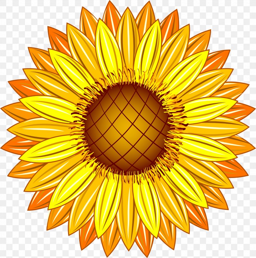 Common Sunflower Yellow Illustration, PNG, 2208x2224px, Common Sunflower, Color, Common Daisy, Cut Flowers, Daisy Family Download Free