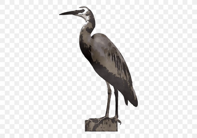 Heron Stork Beak Ibis Wader, PNG, 1466x1035px, Heron, Beak, Bird, Crane, Cranelike Bird Download Free