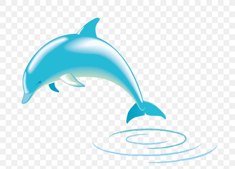 Spinner Dolphin Common Bottlenose Dolphin Clip Art, PNG, 710x591px, Spinner Dolphin, Bottlenose Dolphin, Burrunan Dolphin, Common Bottlenose Dolphin, Dolphin Download Free