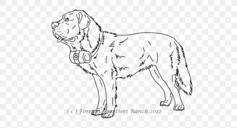 St. Bernard Puppy Drawing Coloring Book Czechoslovakian Wolfdog, PNG, 575x444px, St Bernard, Artwork, Black And White, Breed, Carnivoran Download Free